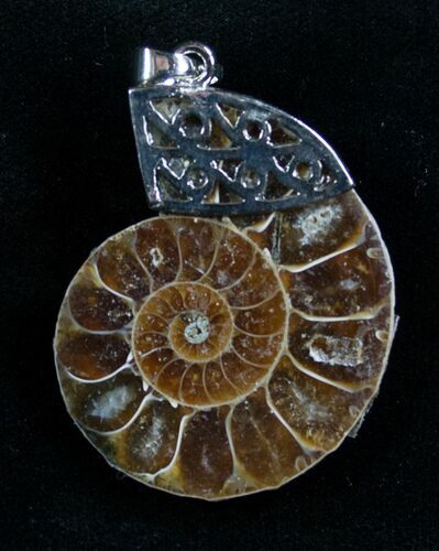 Ammonite Fossil Pendant #7078